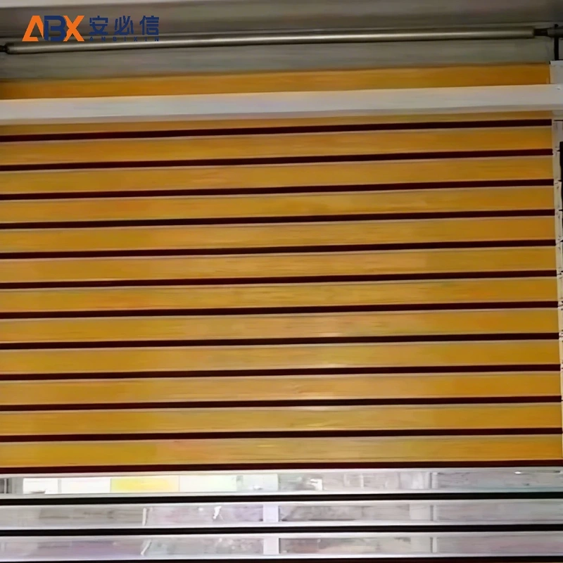 广安感应高速门